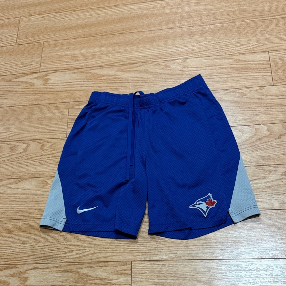 Nike Blue Sports Shorts